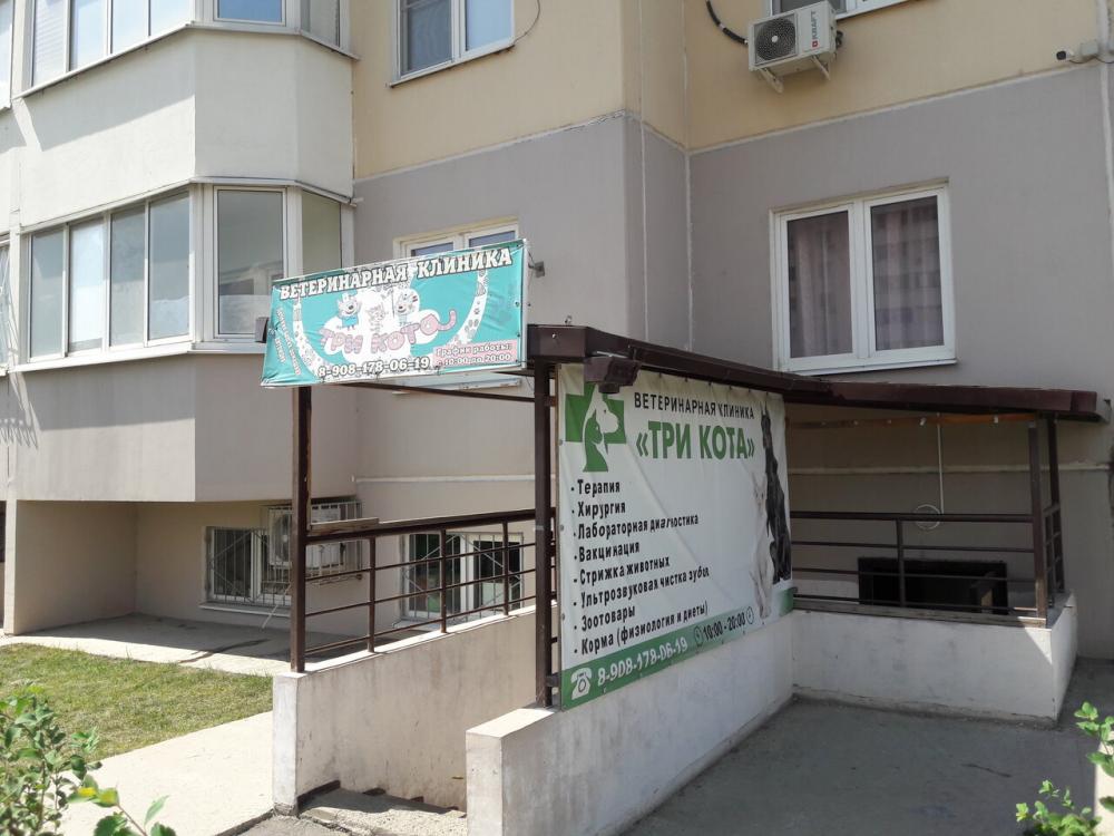 Ветеринарная клиника Три Кота на ул. Петренко - цены и отзывы 🏆