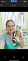 Егор, изображение к комментарию.