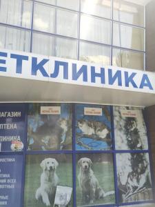 Фотография Тим 0