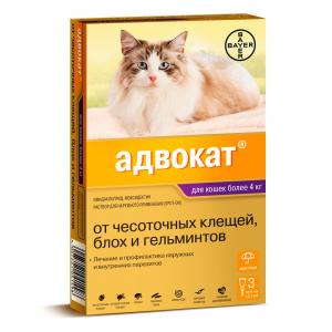 Фотография БатошаVet 5