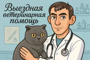 Фотография Доктор-Вет 1