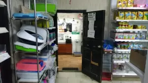 Фотография ЗооСити 3