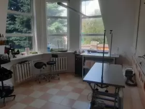 Фотография Ветеринарная клиника доктора Кротова 0