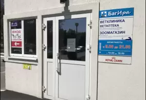 Фотография Багира 4
