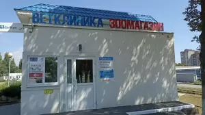 Фотография Багира 0