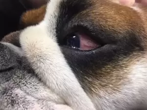 Фотография ЗаВЕТный Друг 1