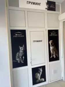 Фотография Айболит 1