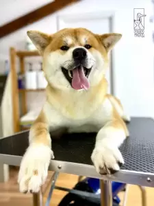 Фотография Уруру 0