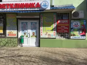 Фотография Умка 4