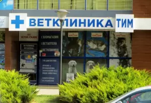 Фотография Тим 3