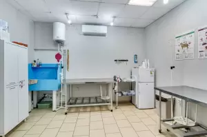 Фотография Dogtor 1