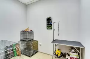 Фотография Dogtor 2