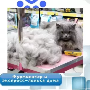 Фотография ЗаВЕТный Друг 0