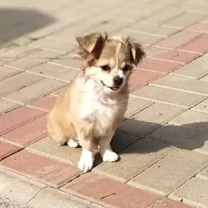 Фотография Тим 0