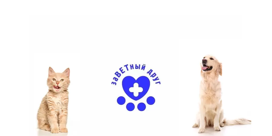 слайд